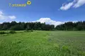 Haus 35 m² Usiazski sielski Saviet, Belarus