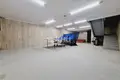 Таунхаус 369 м² Кстовский муниципальный округ, Россия