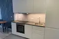 Apartamento 1 habitación 33 m² en Huntersville, Estados Unidos