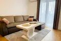 Two bedroom Apartment ZABJELO