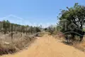 Parcelas 917 m² Nea Roda, Grecia