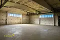 Zakład produkcyjny 12 000 m² Nowołukoml, Białoruś