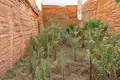 Земельные участки 115 м² Торревьеха, Испания