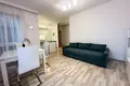 Квартира 2 комнаты 52 м² в Лодзи, Польша