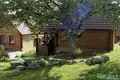 Cottage  Mirski sielski Saviet, Belarus