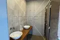 Commercial property 217 m² in City of Zagreb, Croatia