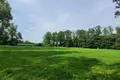 Land 5 000 m² Albertowsko, Poland