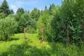Grundstück  Rajon Gattschina, Russland