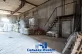 Produktion 1 246 m² Staroje Sialo, Belarus