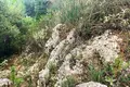 Земельные участки 1 комната  Лаконес, Греция