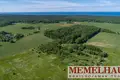 Parcelas  Bendikai, Lituania