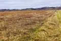Grundstück  Jaunlutrinu pagasts, Lettland