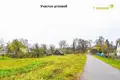Land 49 m² in Šaršunski sieĺski Saviet, Belarus