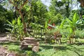 Haus 3 Schlafzimmer 125 m² Crawfish Rock, Honduras