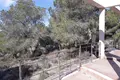 Propiedad comercial 885 m² en Pilar de la Horadada, Španjolska