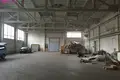 Commercial property 6 922 m² in Kretinga, Lithuania