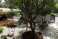 6 bedroom house 350 m² Morinj, Montenegro