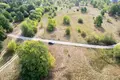 Land 1 room 3 902 m² Otwock, Poland