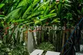 villa de 3 chambres  Pererenan, Indonésie