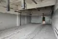 Производство 879 м² в Заречье, Беларусь