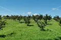 Działki 73 000 m² Opcina Koncanica, Chorwacja
