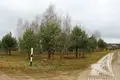 Land 64 m² Masievicy, Belarus