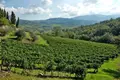 Investition 1 067 m² Greve in Chianti, Italien