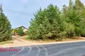 Коттедж 186 м² Острошицы, Беларусь