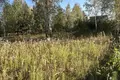 Działki  Kalodziscanski sielski Saviet, Białoruś