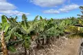 Parcelas  Canarias, Španjolska