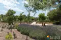 Appartement 2 chambres 73 m² Benijofar, Espagne
