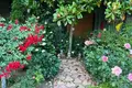 Appartement  Byala, Bulgarie