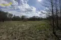 Land  Dziamidavicki sielski Saviet, Belarus