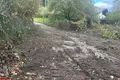 Land 13 302 m² Weidlingbach, Austria