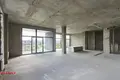 Квартира 5 комнат 161 м² Минск, Беларусь