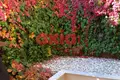 Studio 1 chambre 40 m² en Kavala Municipality, Grèce