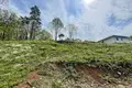 Działki  Skofljica, Słowenia
