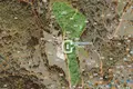 Grundstück  Kolasin, Montenegro
