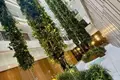 2 room apartment 50 m² Tel-Aviv, Israel