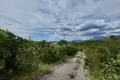 Land  Lustica, Montenegro