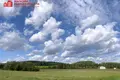 Дом 2 комнаты 42 м² Сопоцкинский сельский Совет, Беларусь
