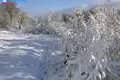 Działki  Juciai, Litwa