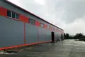 Warehouse 1 100 m² in Domodedovo, Russia