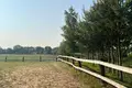 House 100 000 m² Bochlin, Poland