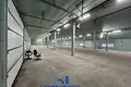 Manufacture 1 060 m² in Kirsy, Belarus