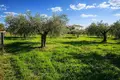 Atterrir 2 800 m² Kassandrino, Grèce