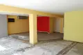 Propriété commerciale 866 m² à Spilia, Chypre