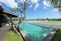2 bedroom Villa  Canggu, Indonesia
