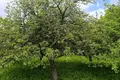 Dom 28 m² Aliachnovicki sielski Saviet, Białoruś