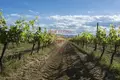 Коммерческое помещение 7 000 м² San Giovanni Valdarno, Италия